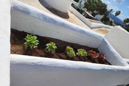 Fantastico Apartamento Con Terraza Y Vistas Al Mar Costa Teguise Dış mekan fotoğraf